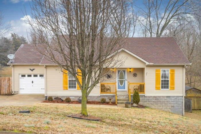 Greenbriar tn house for rent